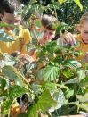 Year 5 outdoor learning - Jam!
