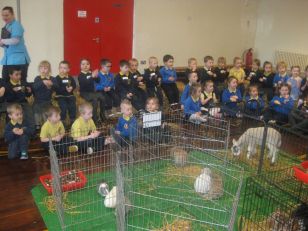 Kidz Farm visits Holy Child Nursery